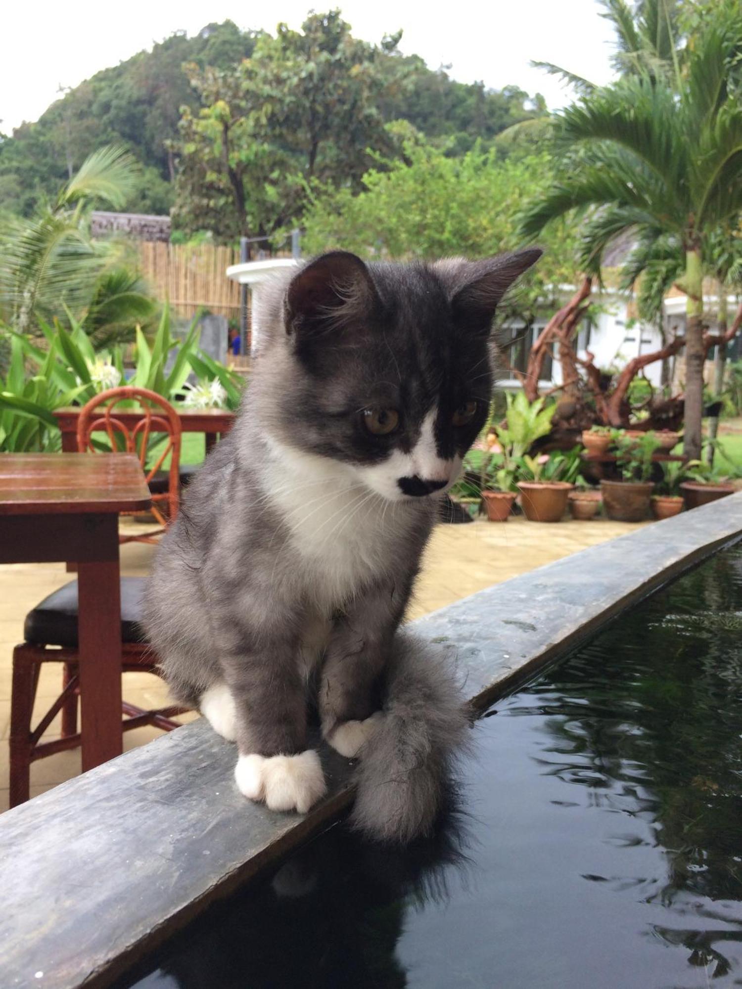 Yao Yai Beach Resort Ko Yao Kültér fotó